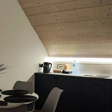 Apartment Matejowka